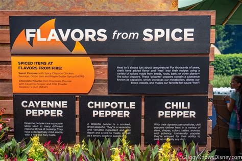 Review Flavors From Fire 2019 Epcot Food And Wine Festival Menu