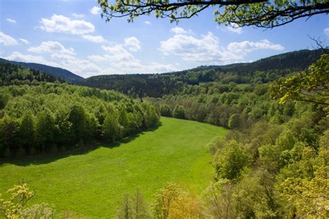 Das Sind Die Acht Schönsten Wälder In Deutschland Easyvoyage