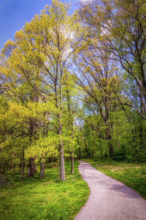 Peaceful Pathway Photograph By Tom Mc Nemar Fine Art America