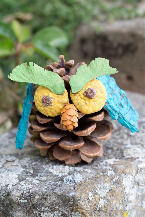 How To Make Pine Cone Owls