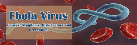 Get the facts on the history, symptoms, and treatment of marburg virus disease, formerly known as. Ebola Virus- Causes, Symptoms, Risk Factors and Prevention ...