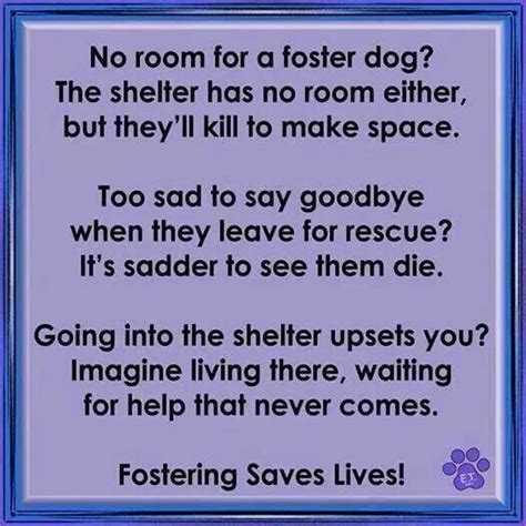 Fostering Saves Lives Animal Rescue Quotes Animal Quotes Animal
