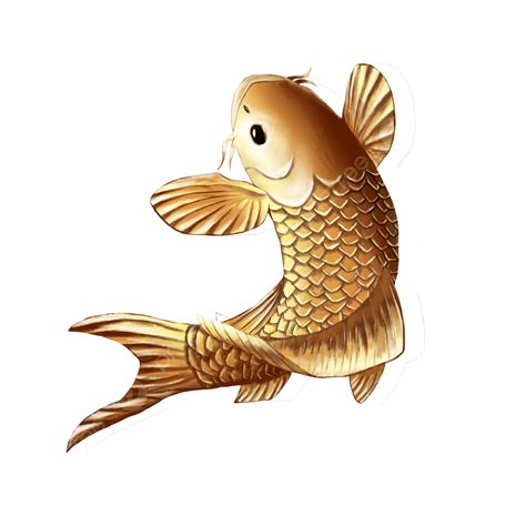 Goldfish Hd Transparent Goldfish Goldfish Material Fish Animal Png