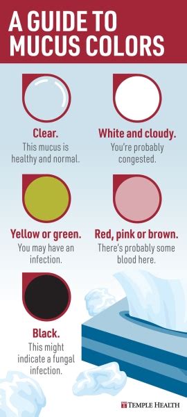 Learn How To Interpret Phlegm Color For Health Insigh