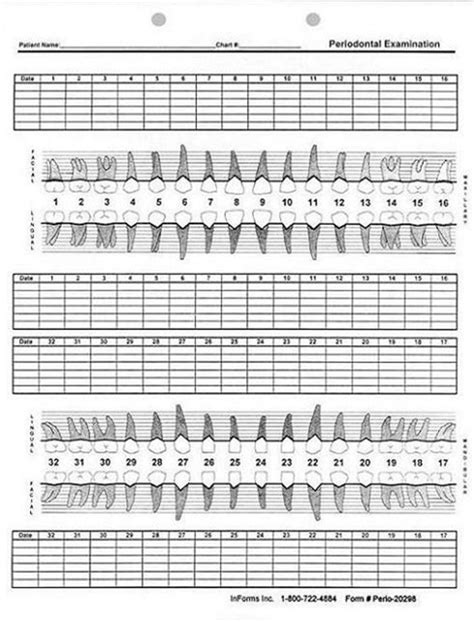 Printable Periodontal Charting Forms Printable Forms Free Online