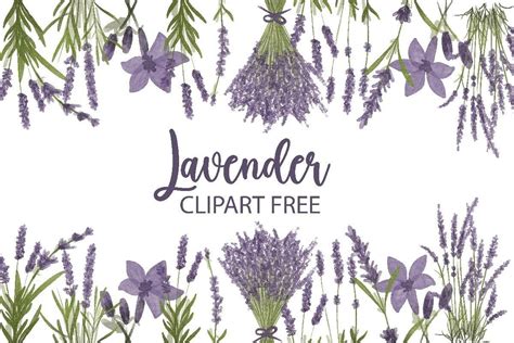 Lavender Clipart Free Graphic By Free Graphic Bundles · Creative Fabrica
