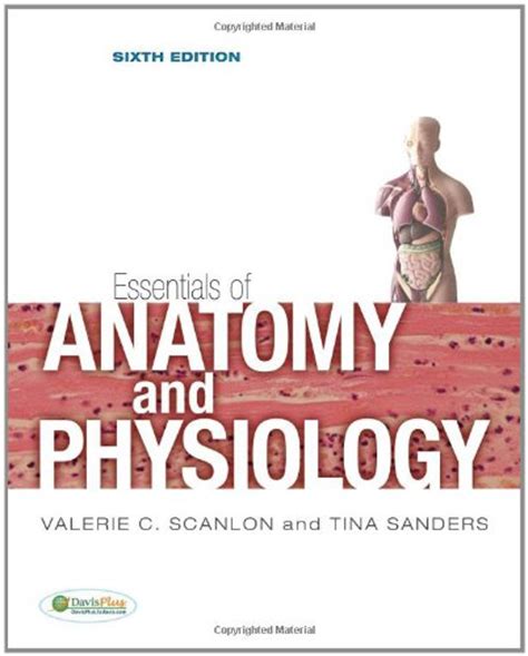 Essentials Of Anatomy And Physiology By Scanlon Valerie C Sanders Tina