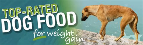 Commercial dog foods can contain ingredients that your chihuahua is allergic to. What Dog Food Helps Dogs Gain Weight?