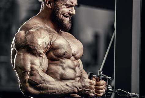 Best Bodybuilding Programs For Beginner Intermediate And Advanced Lifters Fitness Volt