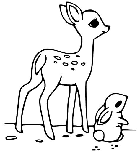 Update 84 Baby Deer Sketch Best Ineteachers