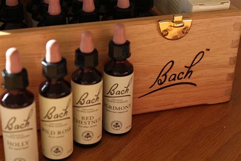Bach Flower Remedies At Worthing Natural Balance And Wellbeing