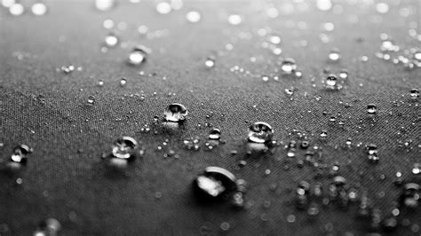Free Images Water Drop Dew Black And White Rain