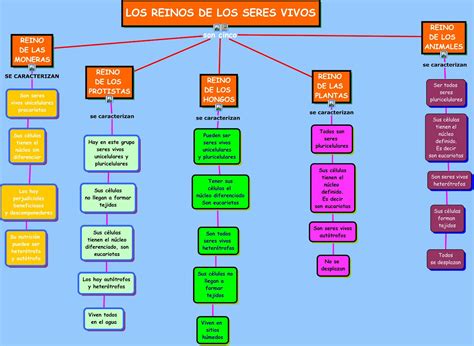 Ciencias Naturales Eso Los Seres Vivos