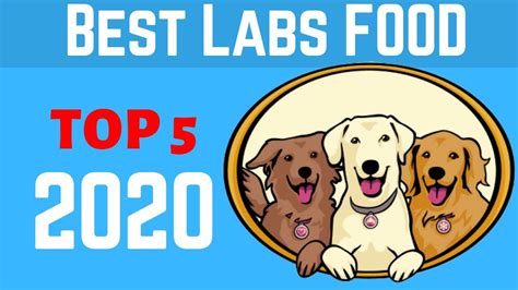Hypoallergenic foods are the best option. Best Dog Food For Labs 2020 | Top 5 Best Dog Food For ...