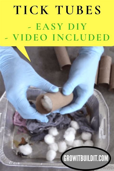 How to make your own tick tubes. TICK TUBES - How to Make Tick Tubes easy DIY in 2020 | Tick tubes, Ticks, Tube