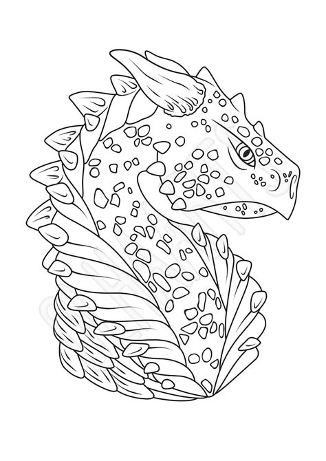 Dragon Head Coloring Page 145 Svg File For Diy Machine