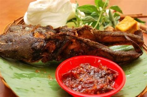 Silakan klik resep ayam bakar teflon resep membuat ayam panggang teflon enak untuk melihat artikel selengkapnya. Enak dan Murah, Ikan Lele Ternyata Berbahaya Jika Terlalu ...