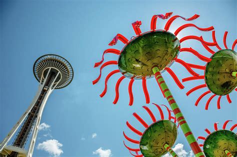 Blooming Seattle Space Needle Photograph By Allen Taylor Fine Art America