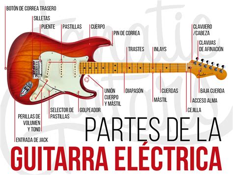Partes De Una Guitarra Eléctrica Fanatic Guitars