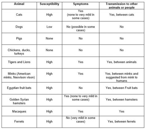 COVID-19 Vaccination for Pets: What You Need to Know - PD Insurance