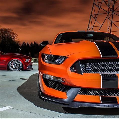 757 Best Images About Mustangs On Pinterest Shelby Gt500 Exotic Cars