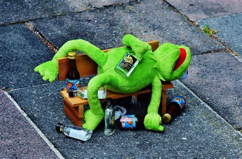 6,776 free images of funny animals. Pin on Kermit