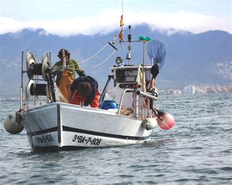 Dossier La Pesca Marítima A Catalunya