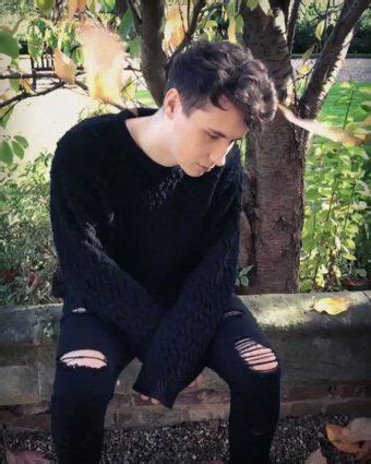 Each time, he was rejected. how many times did her get Phil to drop leaves in front of ...