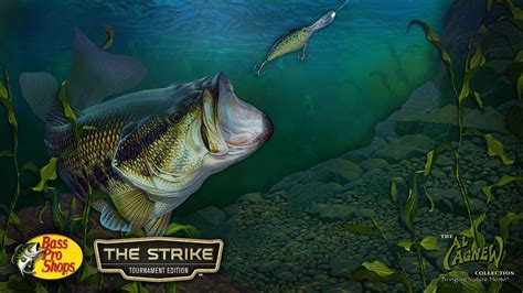 Free Bass Fishing Wallpapers Wallpaper Cave
