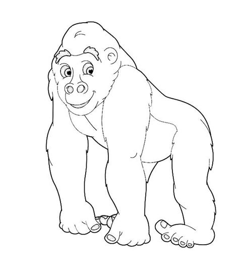 We did not find results for: Going Safari With Gorilla Coloring Page : Coloring Sky ...