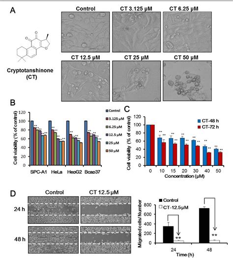 figure 1 from cryptotanshinone inhibits proliferation and induces apoptosis via mitochondria