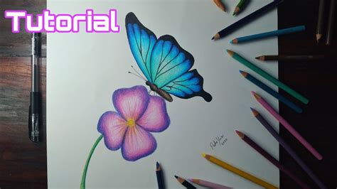 Cómo Dibujar Una Mariposa Y Una Flor Con Lápices De Color Youtube