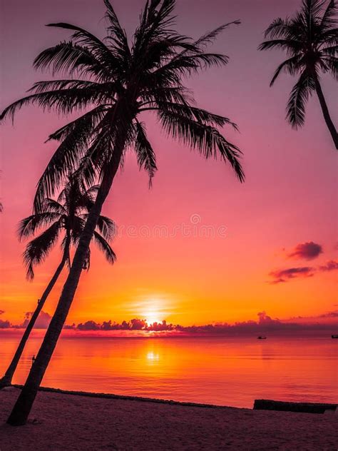Beautiful Tropical Beach Sea And Ocean With Coconut Palm Tree At