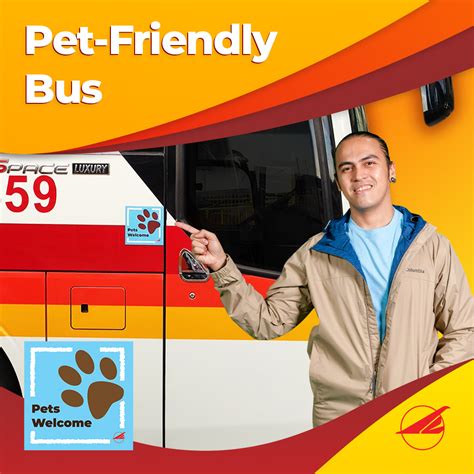 Can You Bring Dogs On Bus