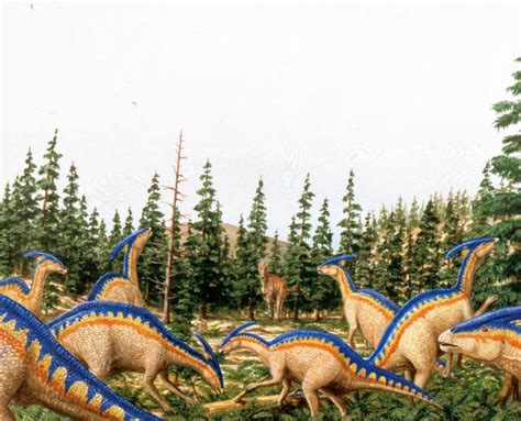 Thank you for helping build the largest language community on the. Parasaurolophus | Sapere.it