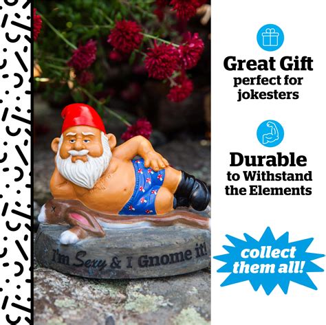 Buy The Sexy And I Gnome It Garden Gnome Online At Desertcart India