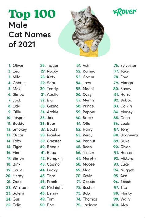 The Most Popular Cat Names Of All Time Rover Com Cat Names