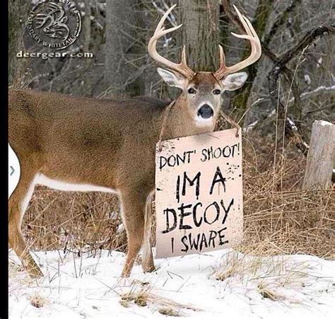 Pin By Katie Wilson On Huntin Deer Hunting Humor Hunting Humor