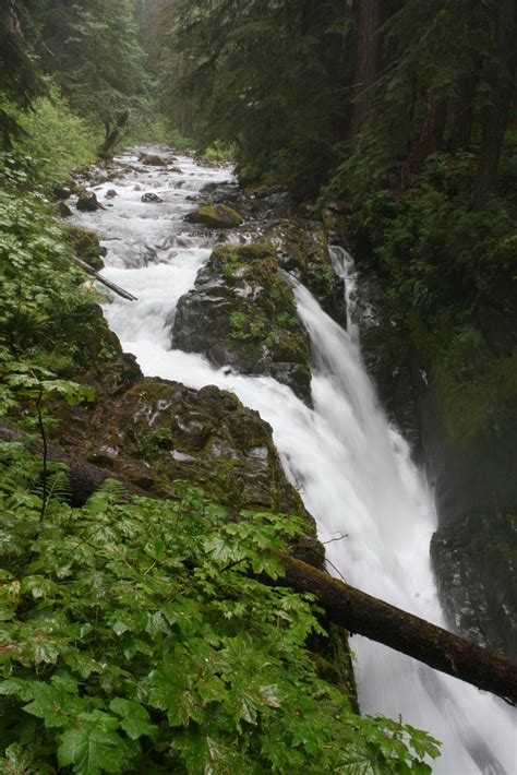 Hiking In The Pacific Northwest Sol Duc Falls