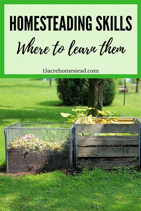 Learning Homesteading Skills Are Necessary When You Want A Productive