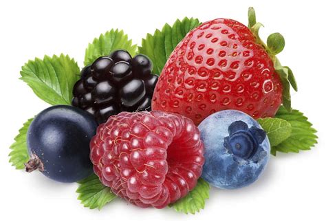20 Types Of Berries And Their Health Benefits Nutrition Advance