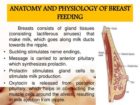 Breast Suckling Pics