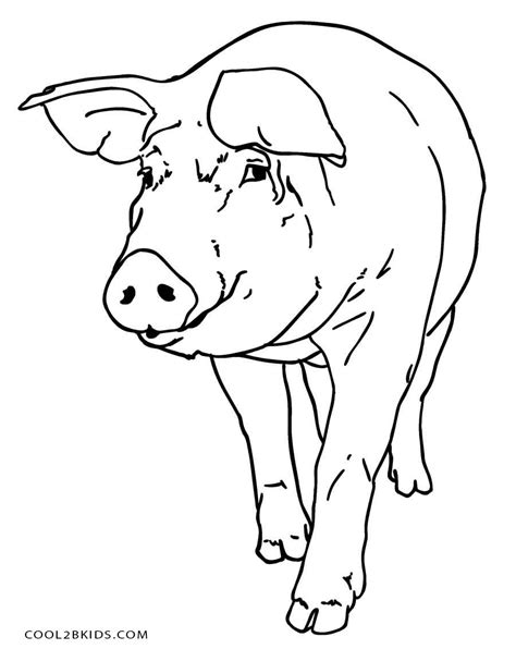 Here is a small collection of 20 cute pig printable coloring pages for preschoolers. Free Printable Pig Coloring Pages For Kids