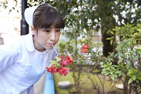 Check out our site with full satisfaction. Bizarre Japanese Nurse Stock Photo Site is a Clever Piece ...
