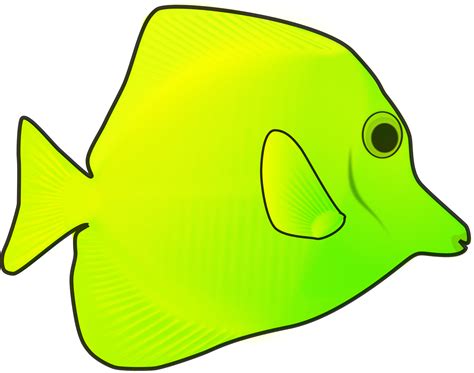 Clipart Yellow Fish