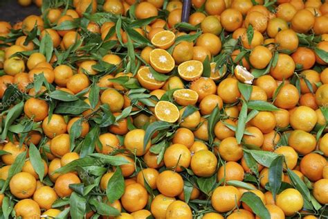 Mandarin Orange Citrus Reticulata — Stock Photo © Anastasios71 13406950