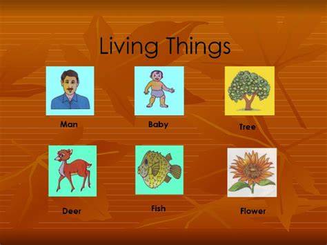 Live, los angeles, ca united states) pictures. Living things & non living things