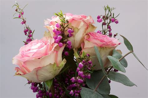 Blumenstrauß Rose Erika Kostenloses Foto Auf Pixabay
