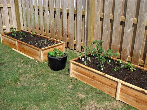 Ana White Ten Dollar Cedar Raised Garden Beds Diy Projects