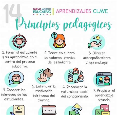 14 Principios Pedagogicos